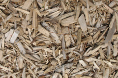 biomass boilers Tamerton Foliot
