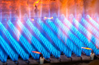 Tamerton Foliot gas fired boilers